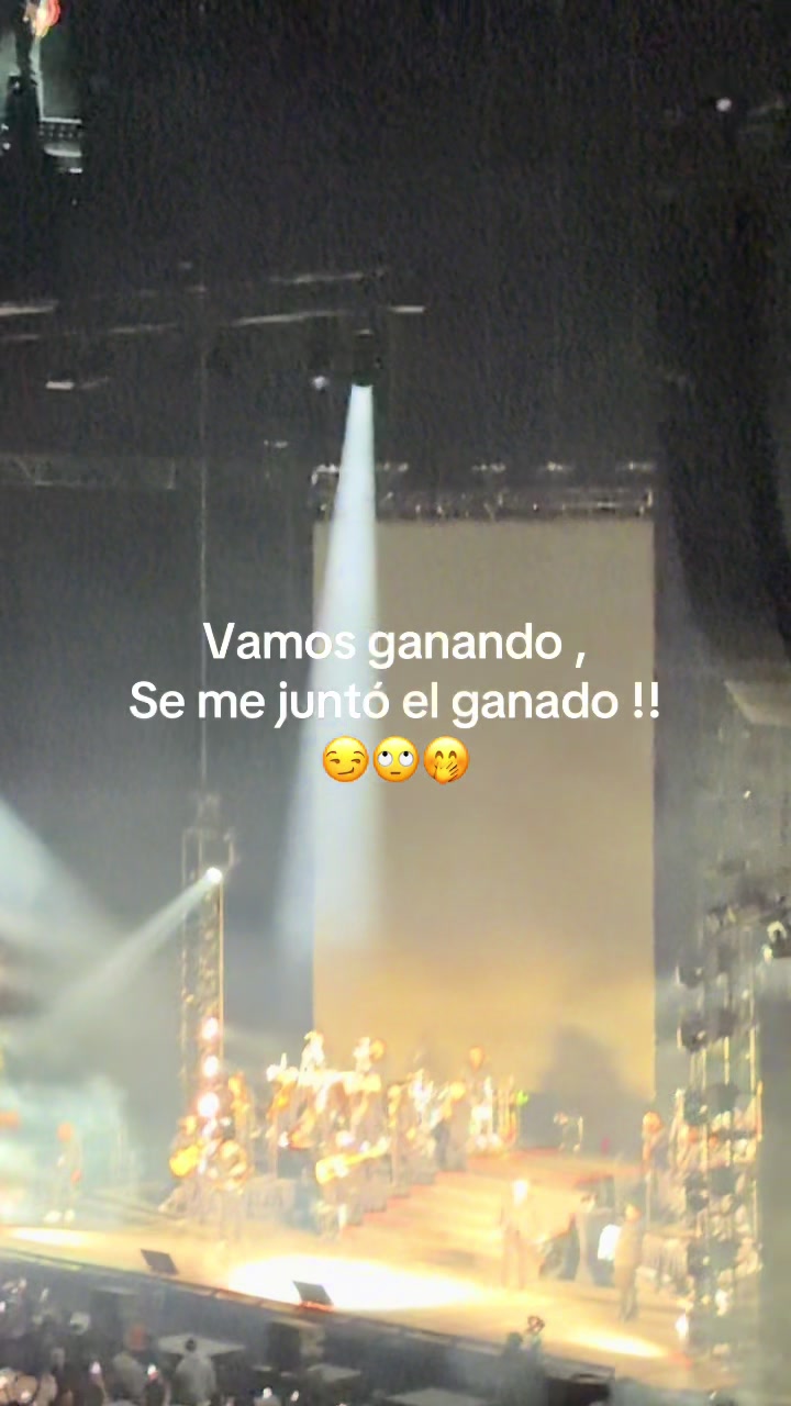 @André.Gask