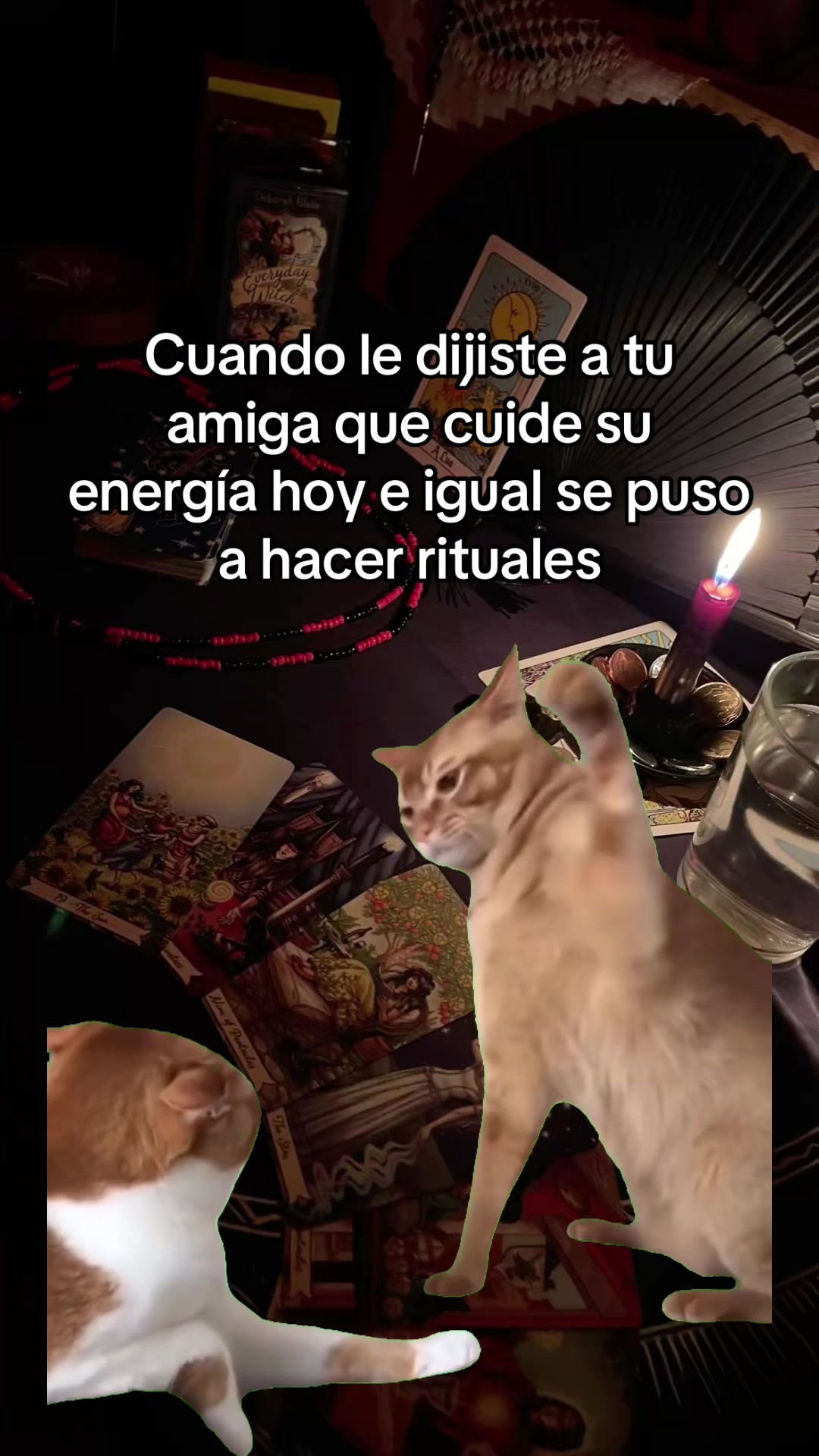 @Bleu