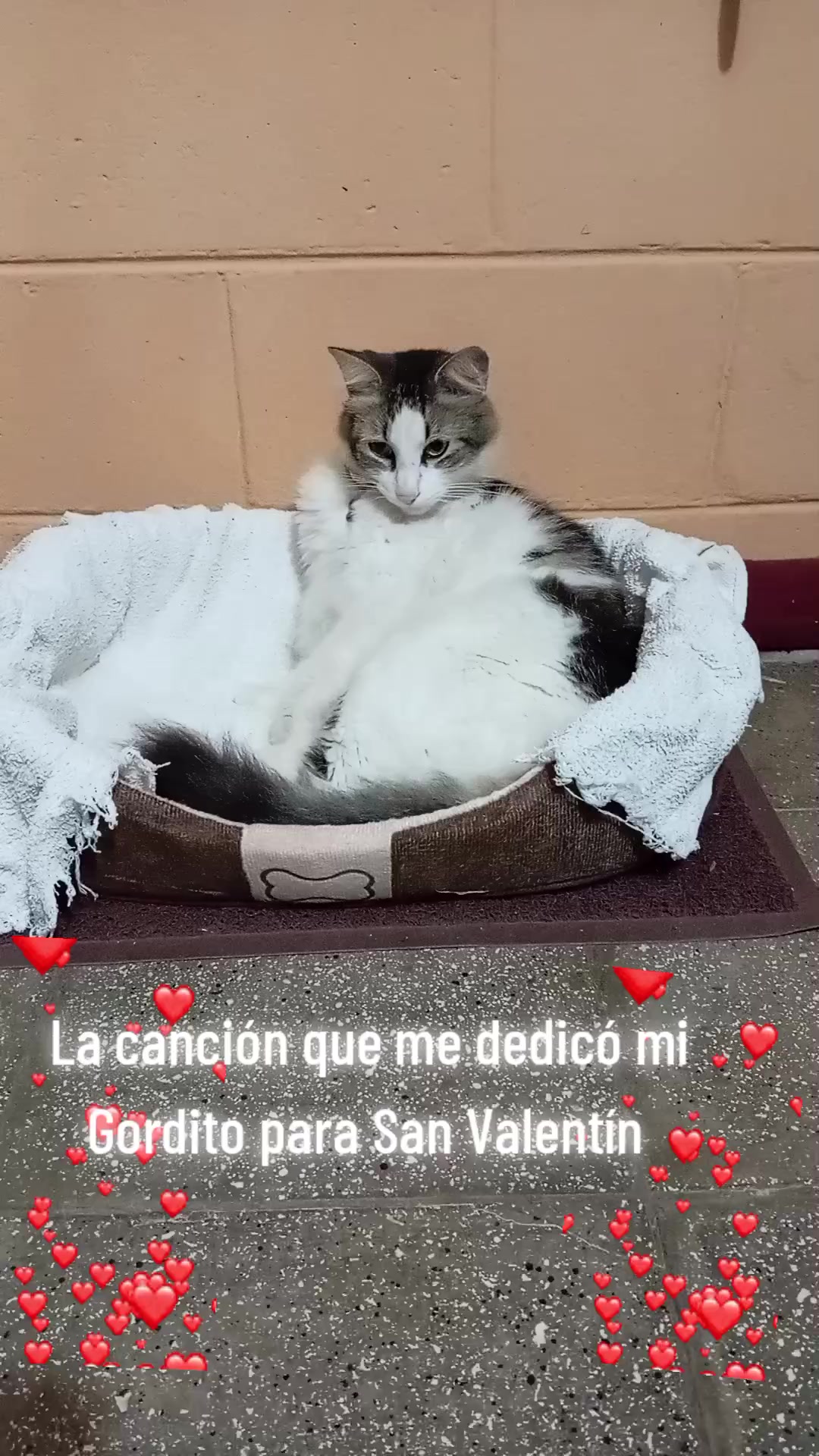 @B&aacute;rbara F&ouml;lgar Paredes