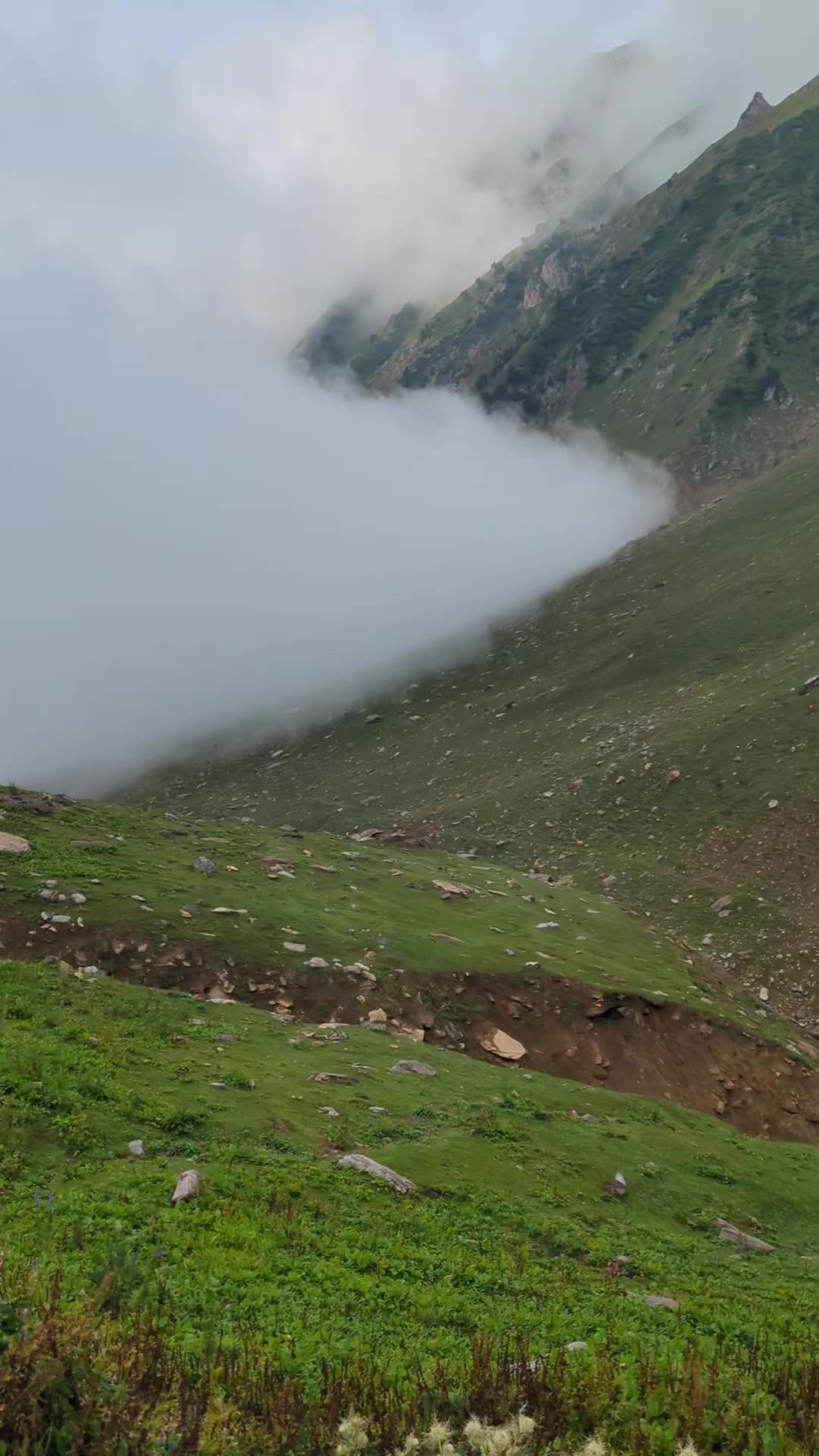 @sajid 786