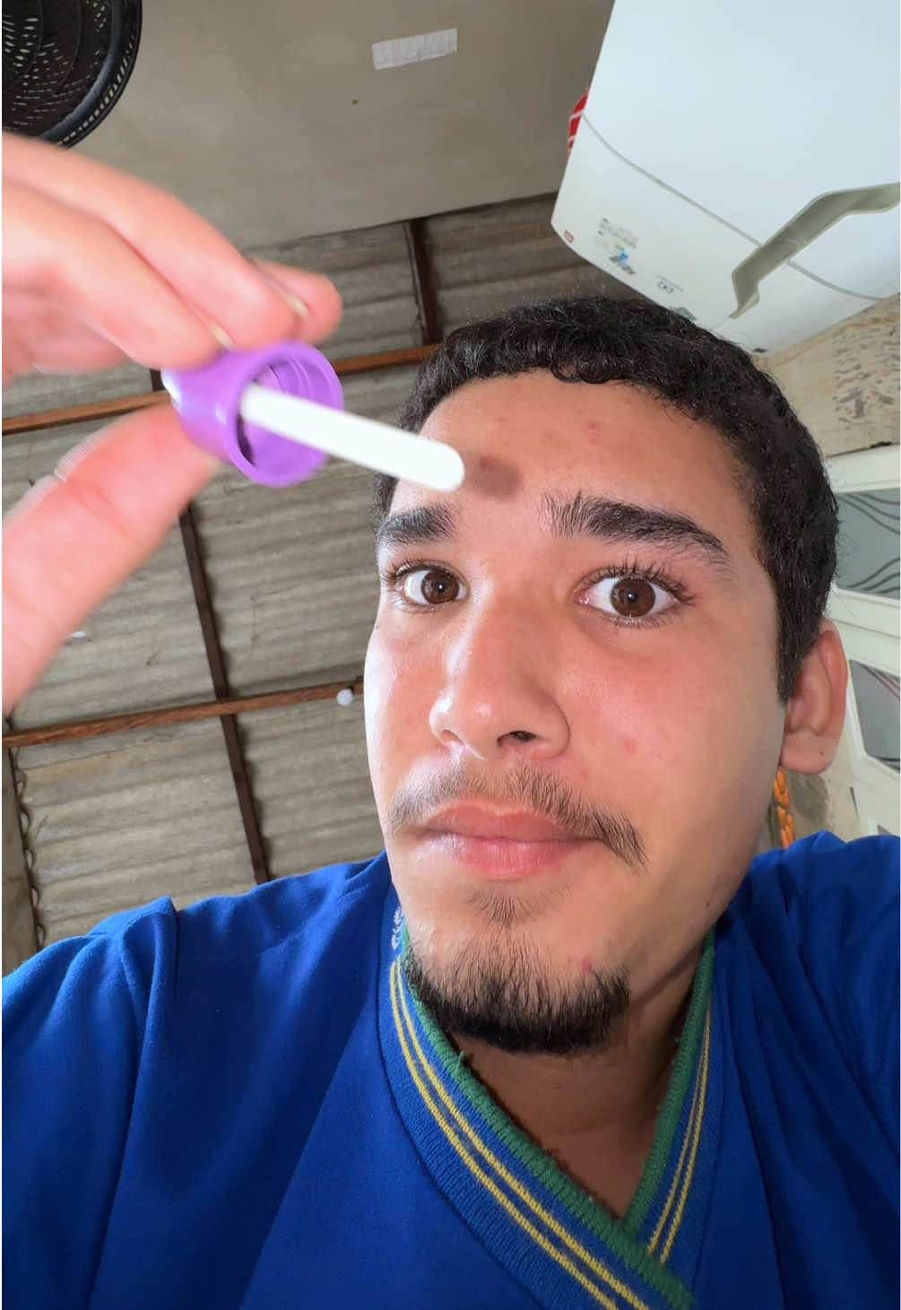 @Bertolino🤠