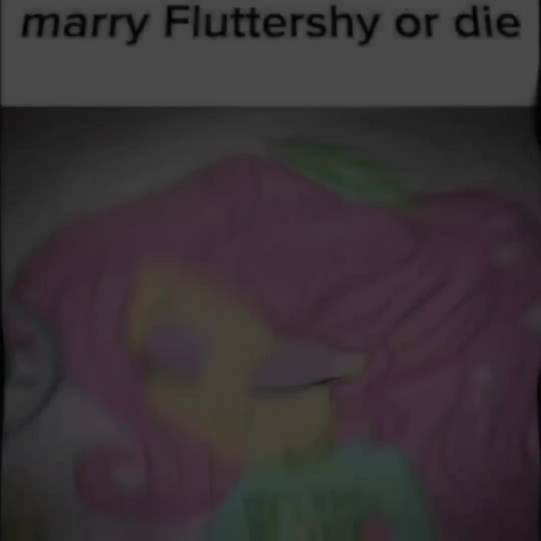 @𝕜𝕨𝕚𝕟𝟜𝕖𝕣