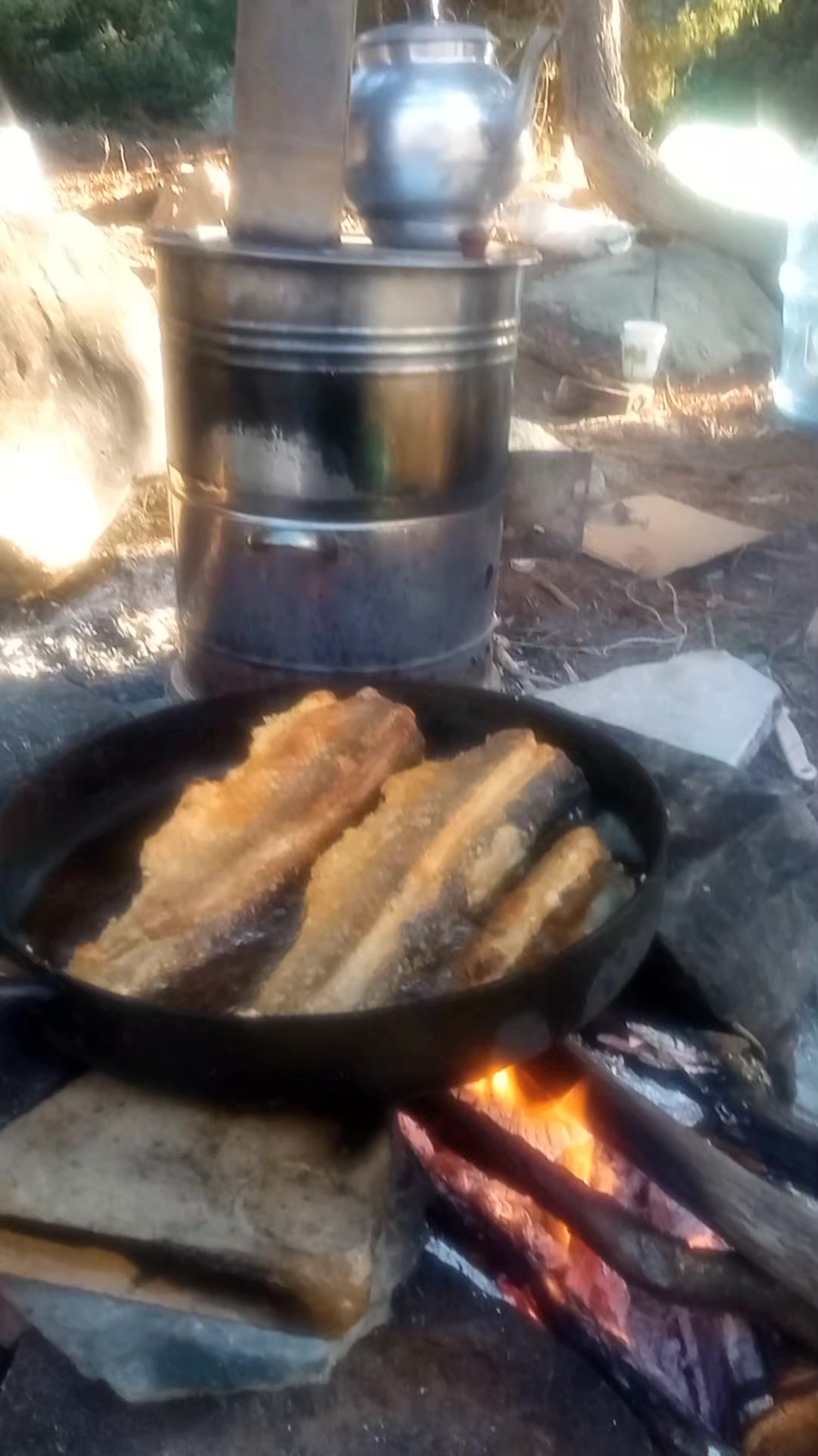 @Adem Düzyurt