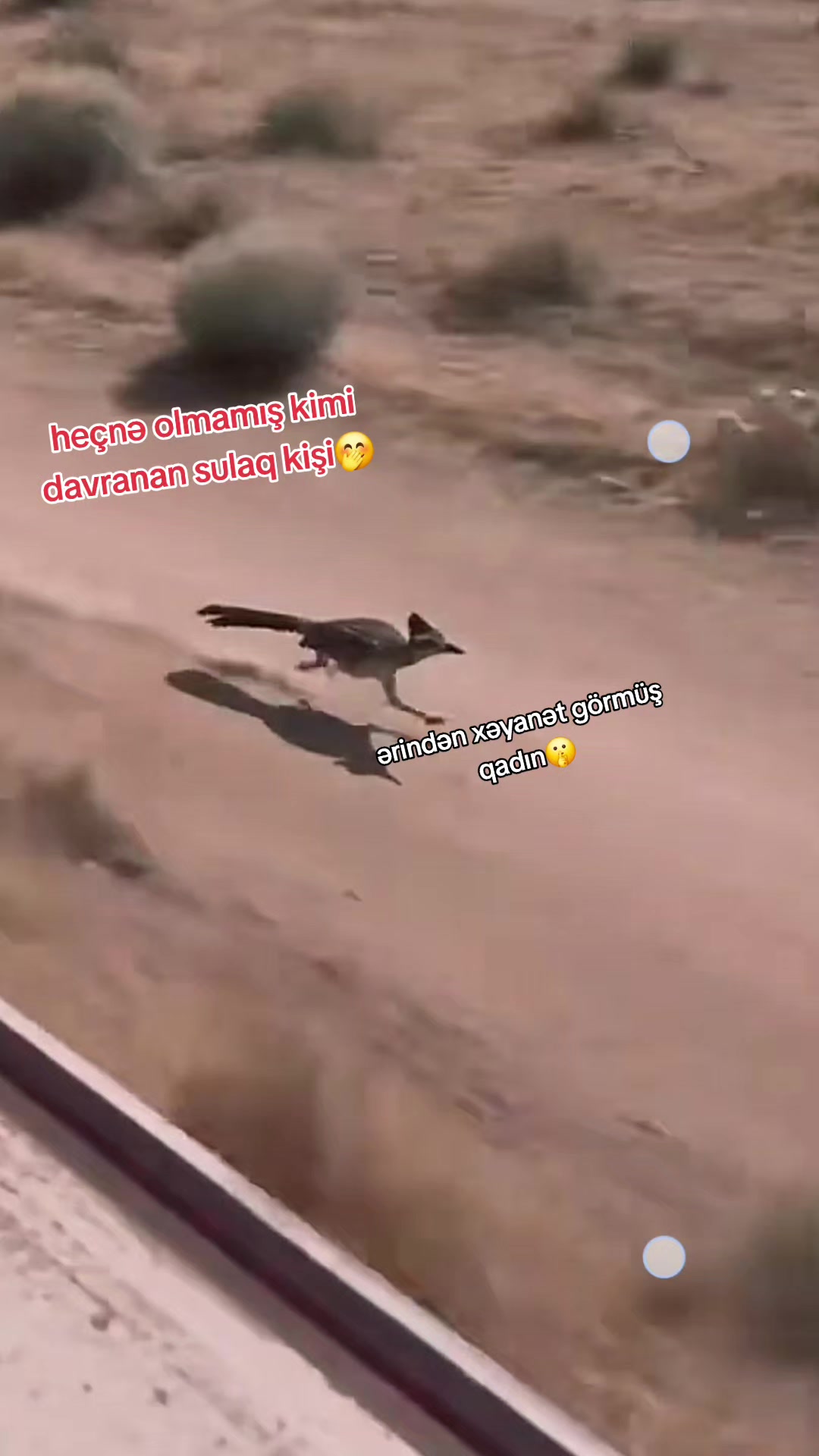 @👩❤️👨👈🤨Dəlisov♑