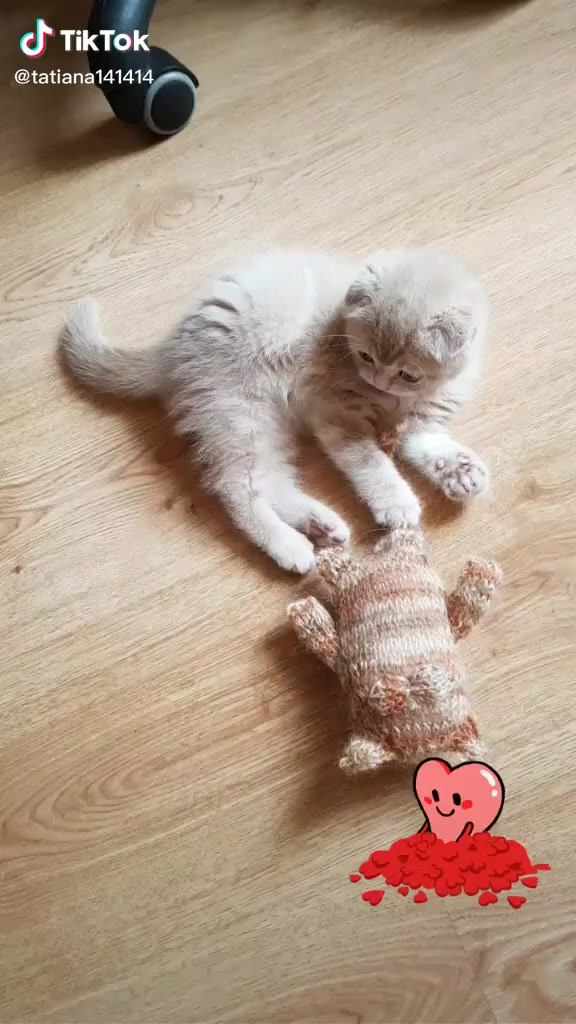 @Tatiana❤️Lily