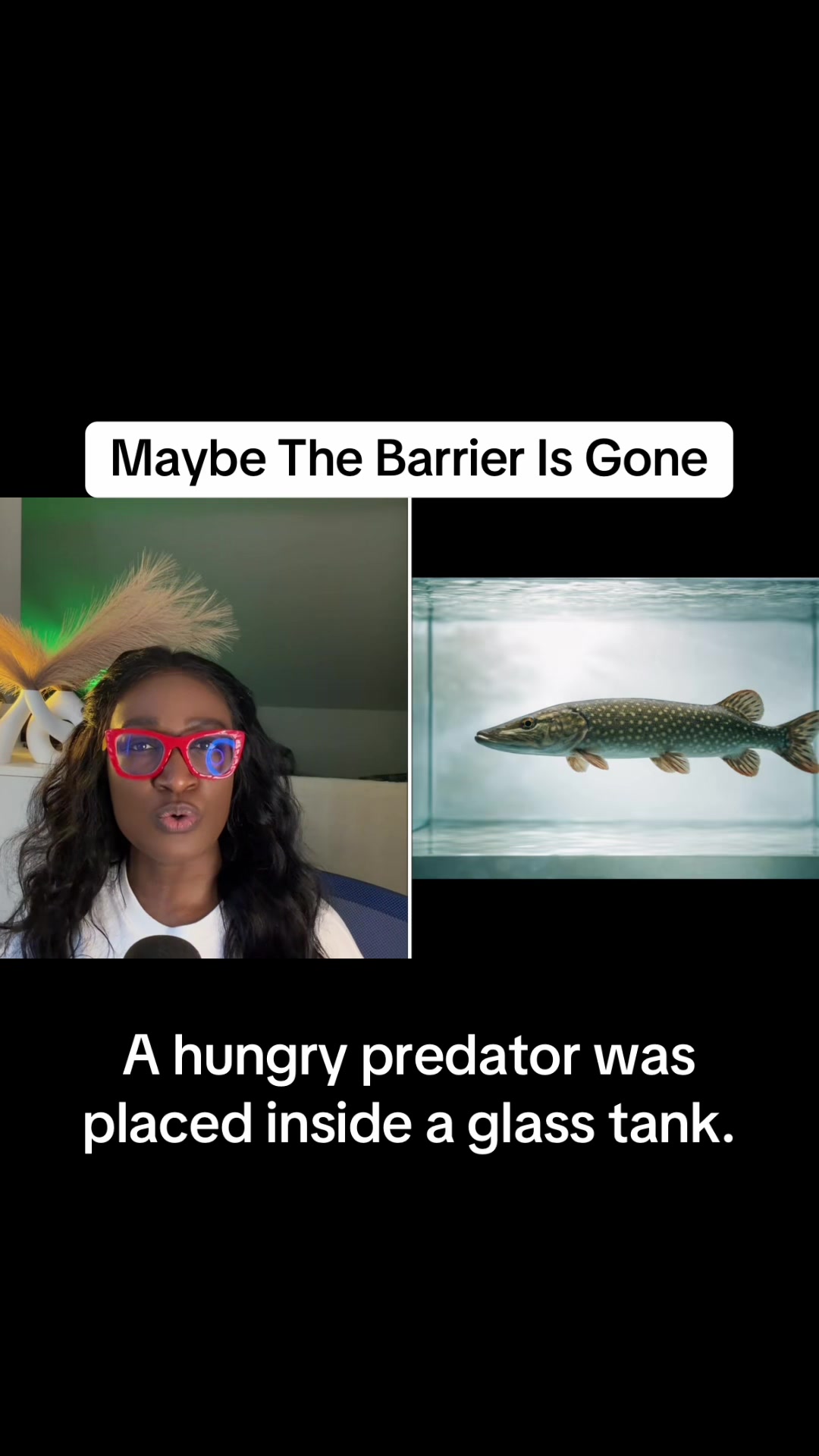 @TrueCrimeWithReni