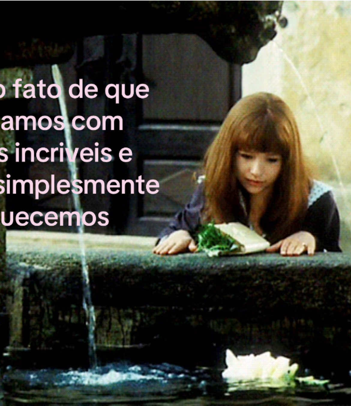 @Mavis