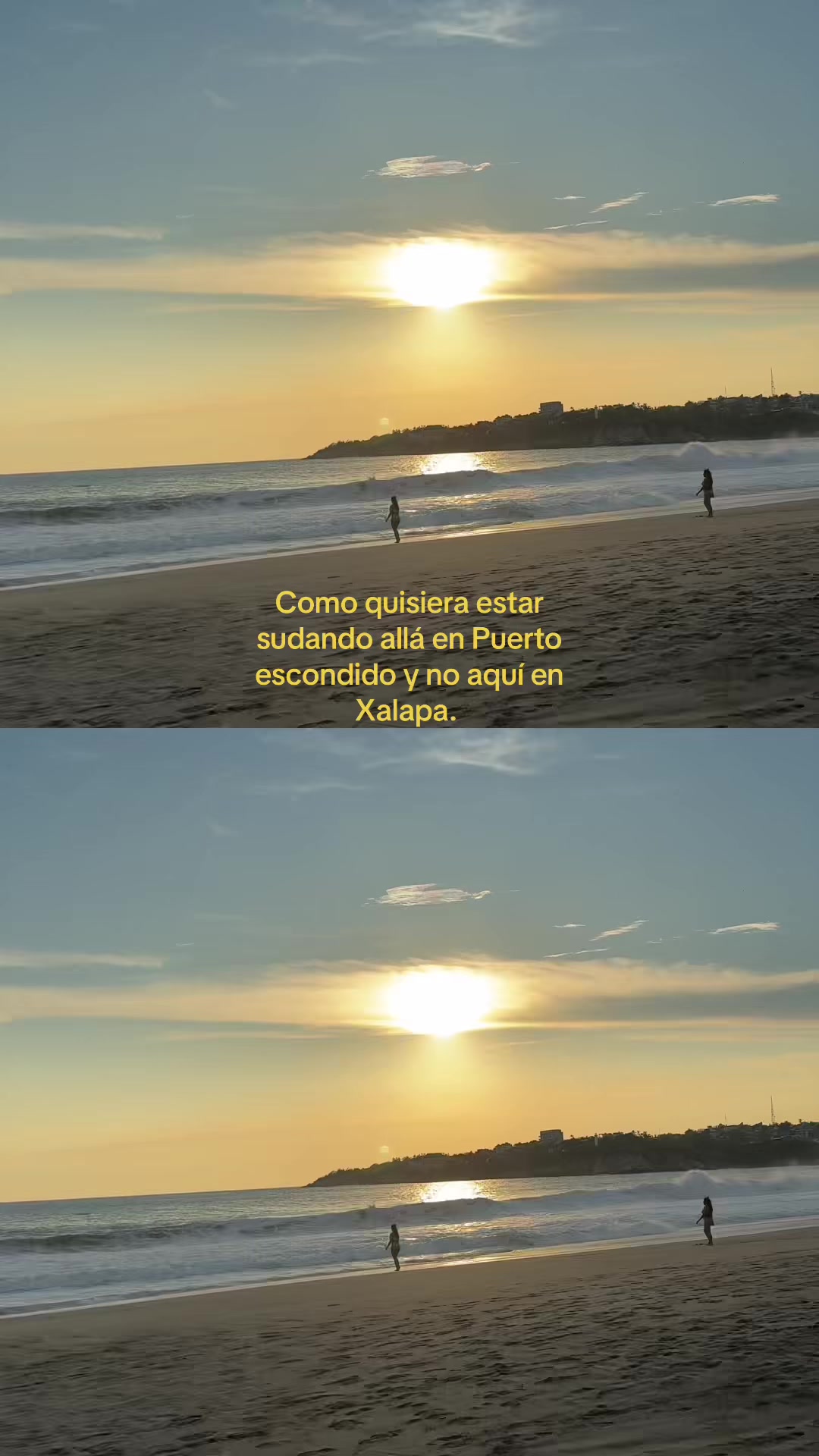 @Selena Rentería