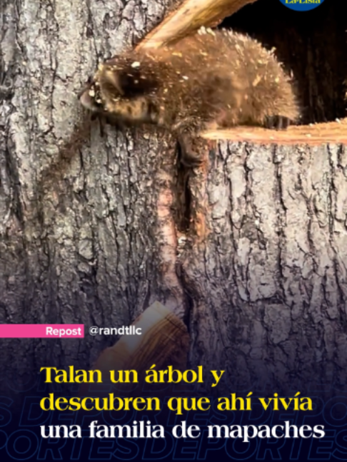 @La-Lista Deportes