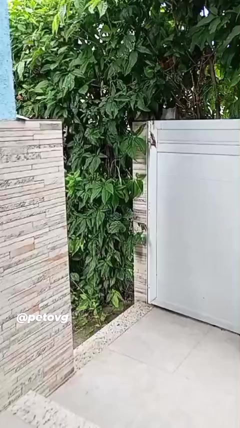 @petovg