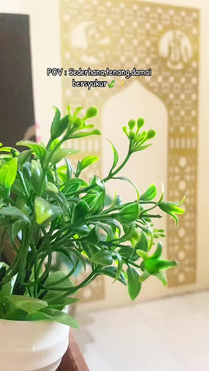 @𐙚 ˚ iLLHY˚🦋༘⋆
