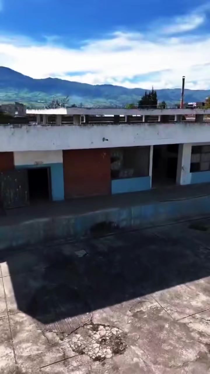@LUIS ZAMORA
