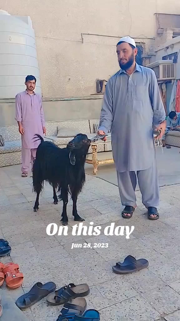 @بادشاہ