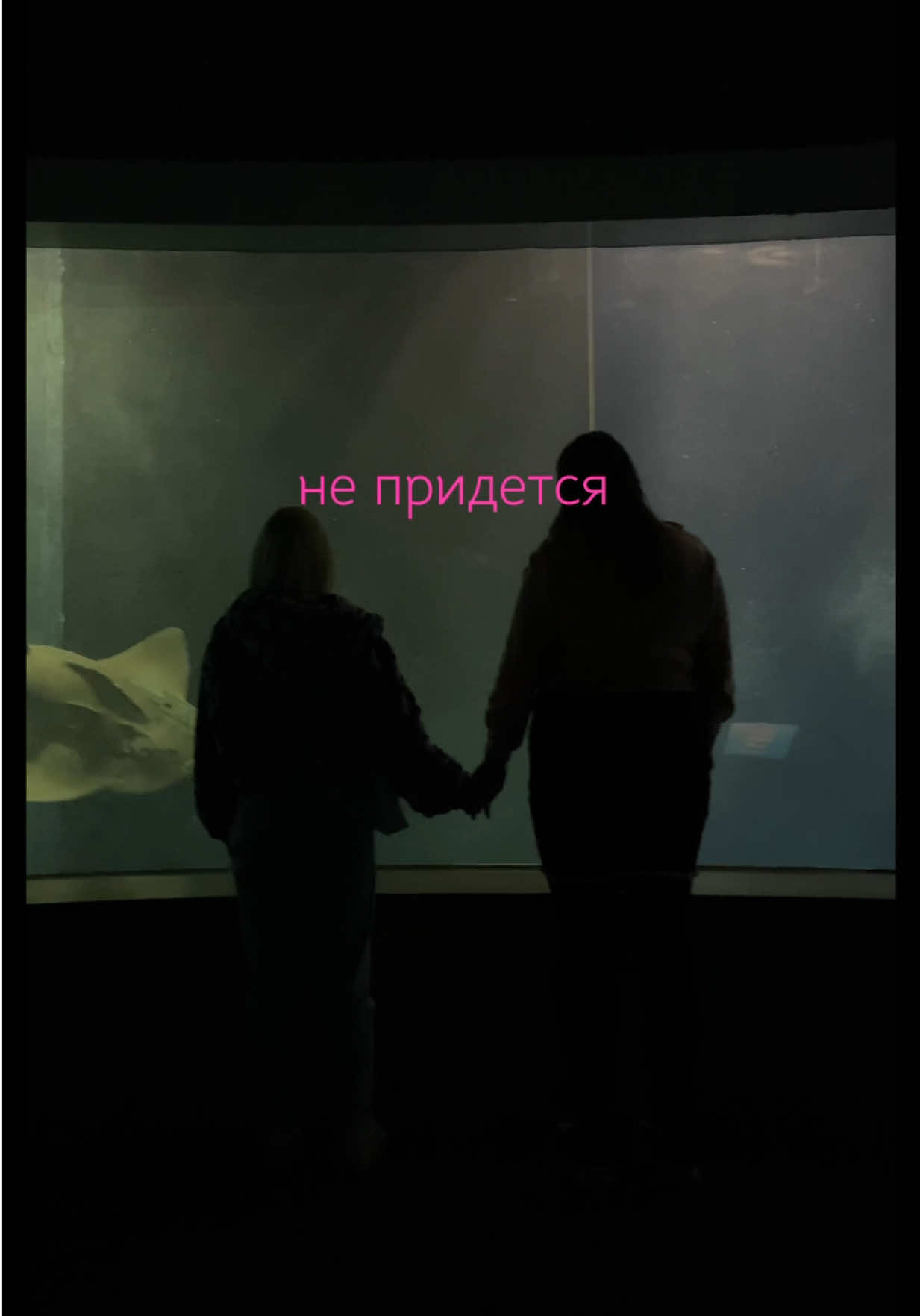 @Тоня и Катя тг: ohayovlog