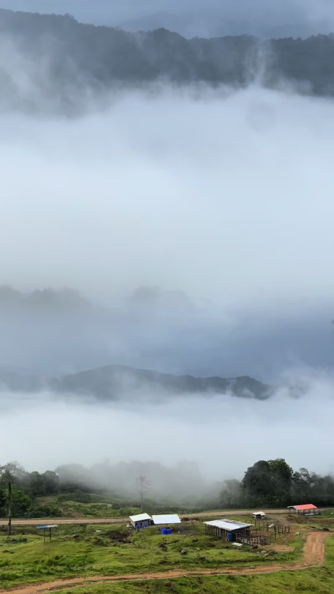 @𝓥𝓲𝓿𝓲𝓪𝓷 𝓢𝓪𝓶𝓮