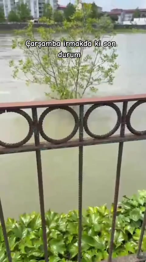 @sibel aydoğdu