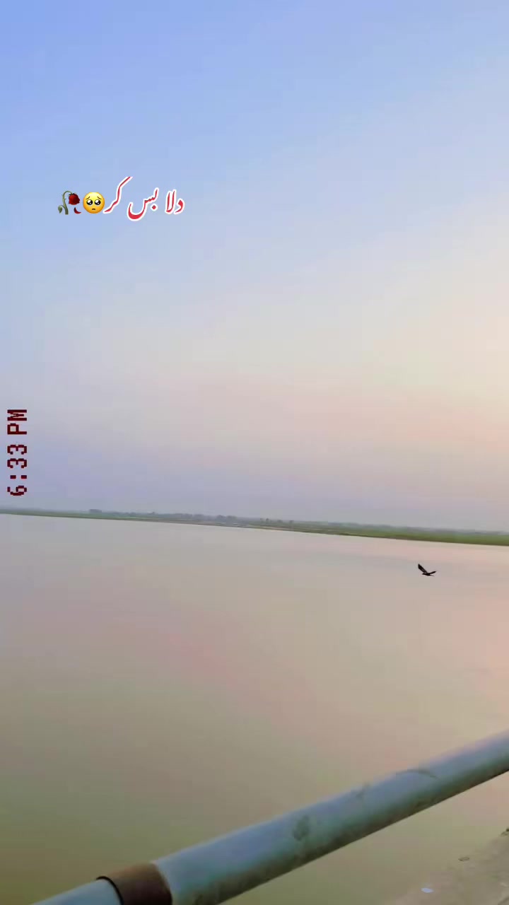 @وسیم شیرازی 🥂