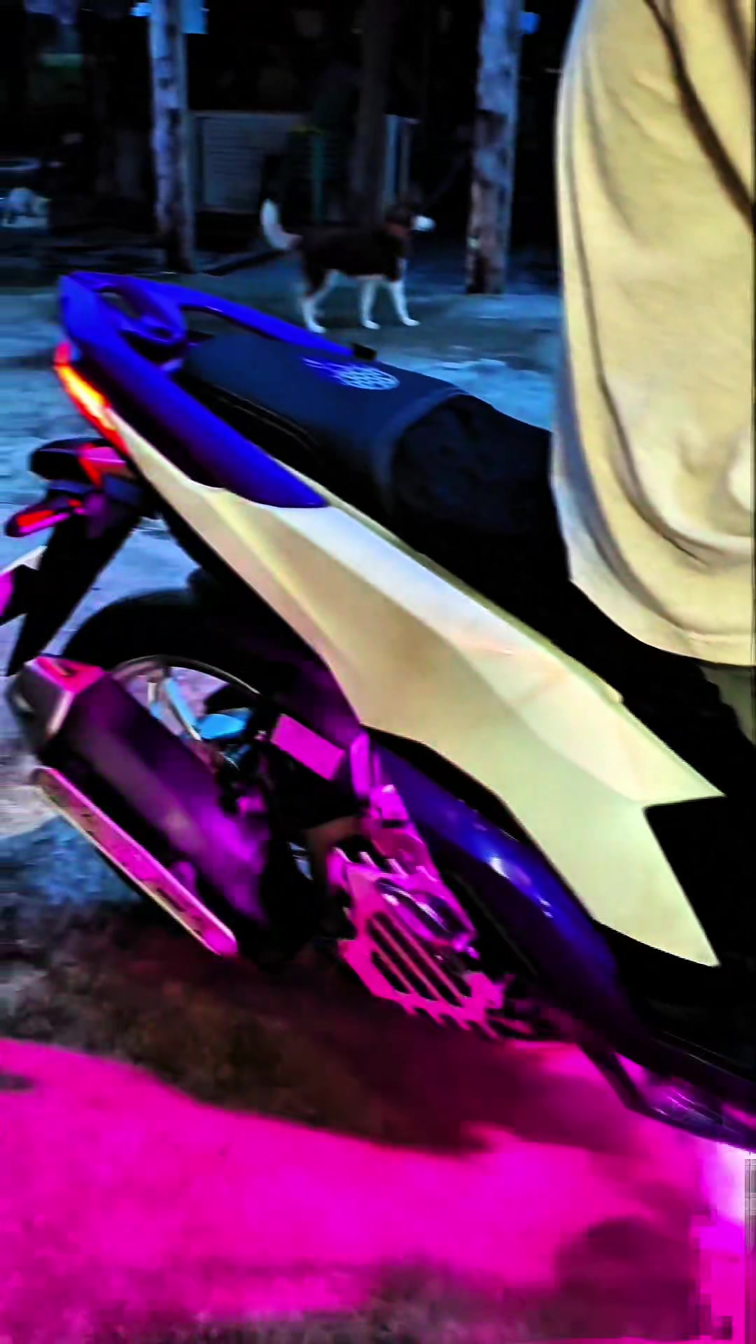 @sᴏʀᴀ.