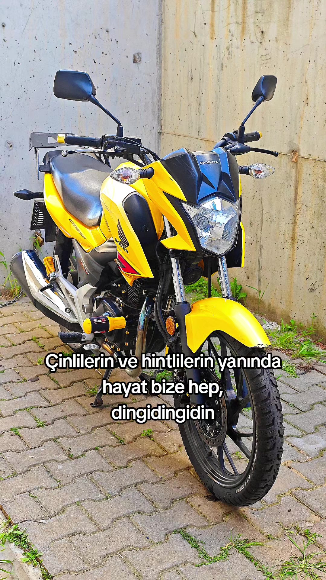 @Mesut yıldız