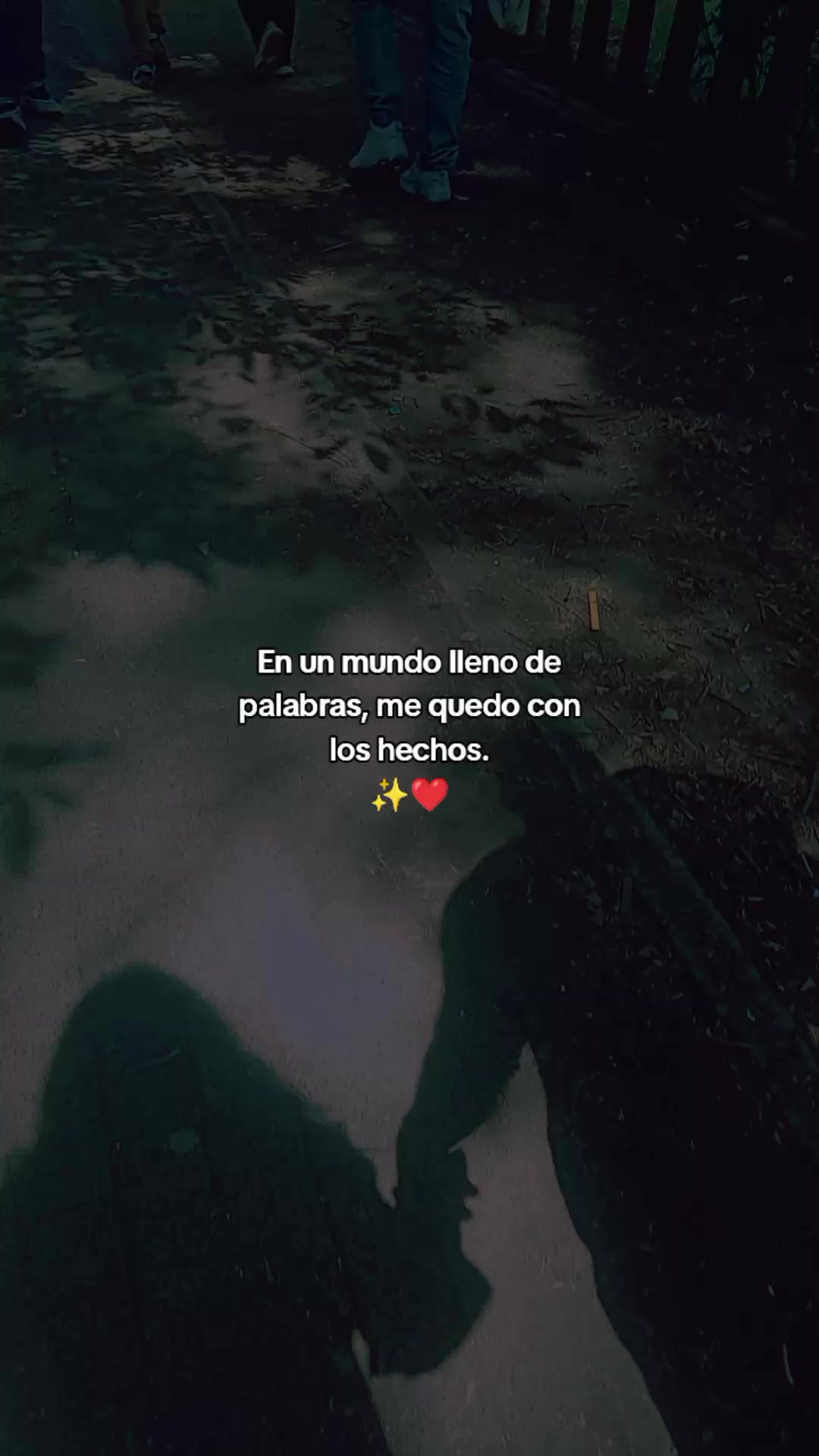 @paubonii
