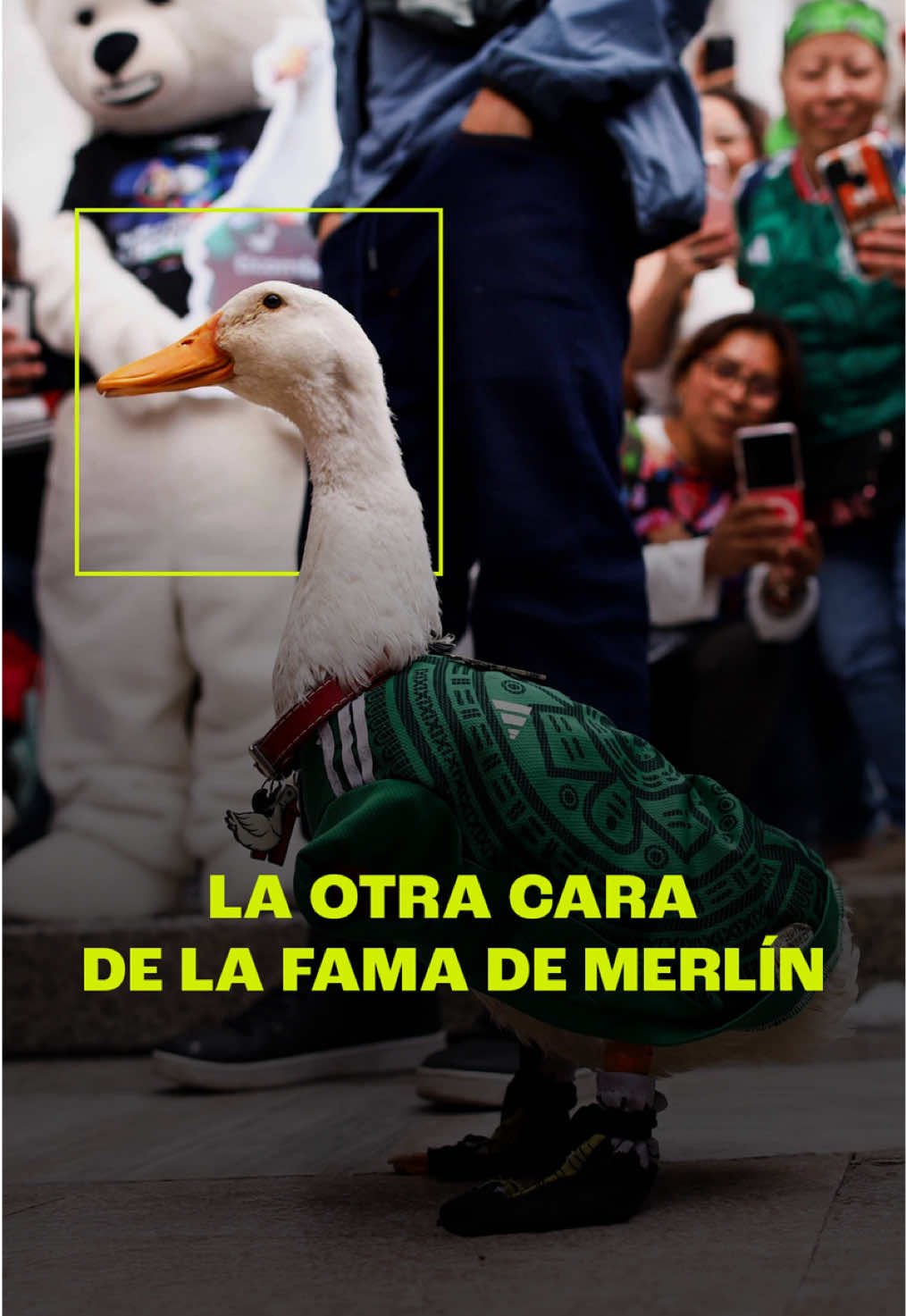@nmásmedia