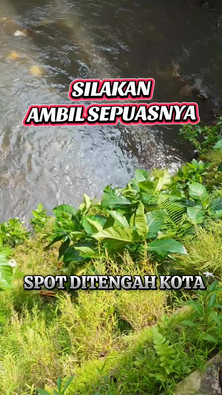 @Gasle Fishing