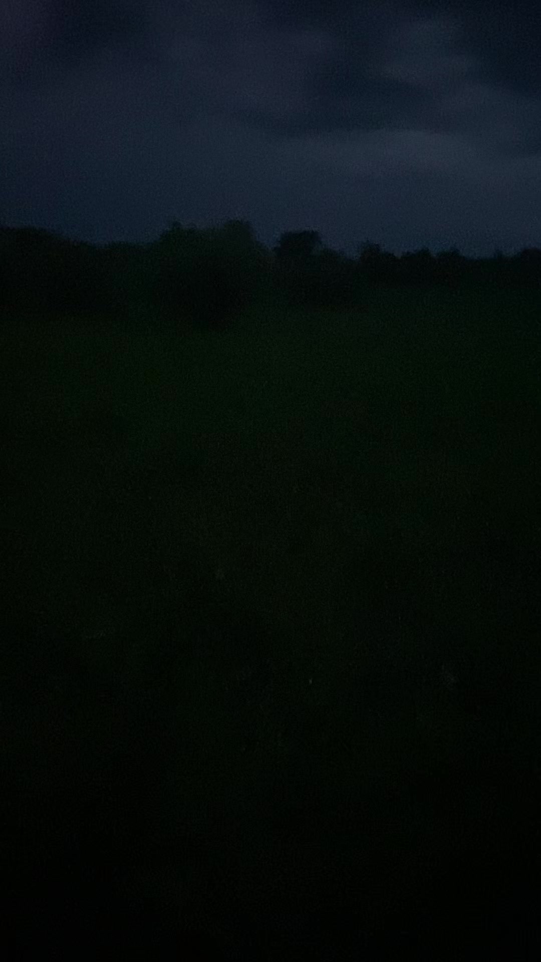 @Відьма 🐦&zwj;🔥