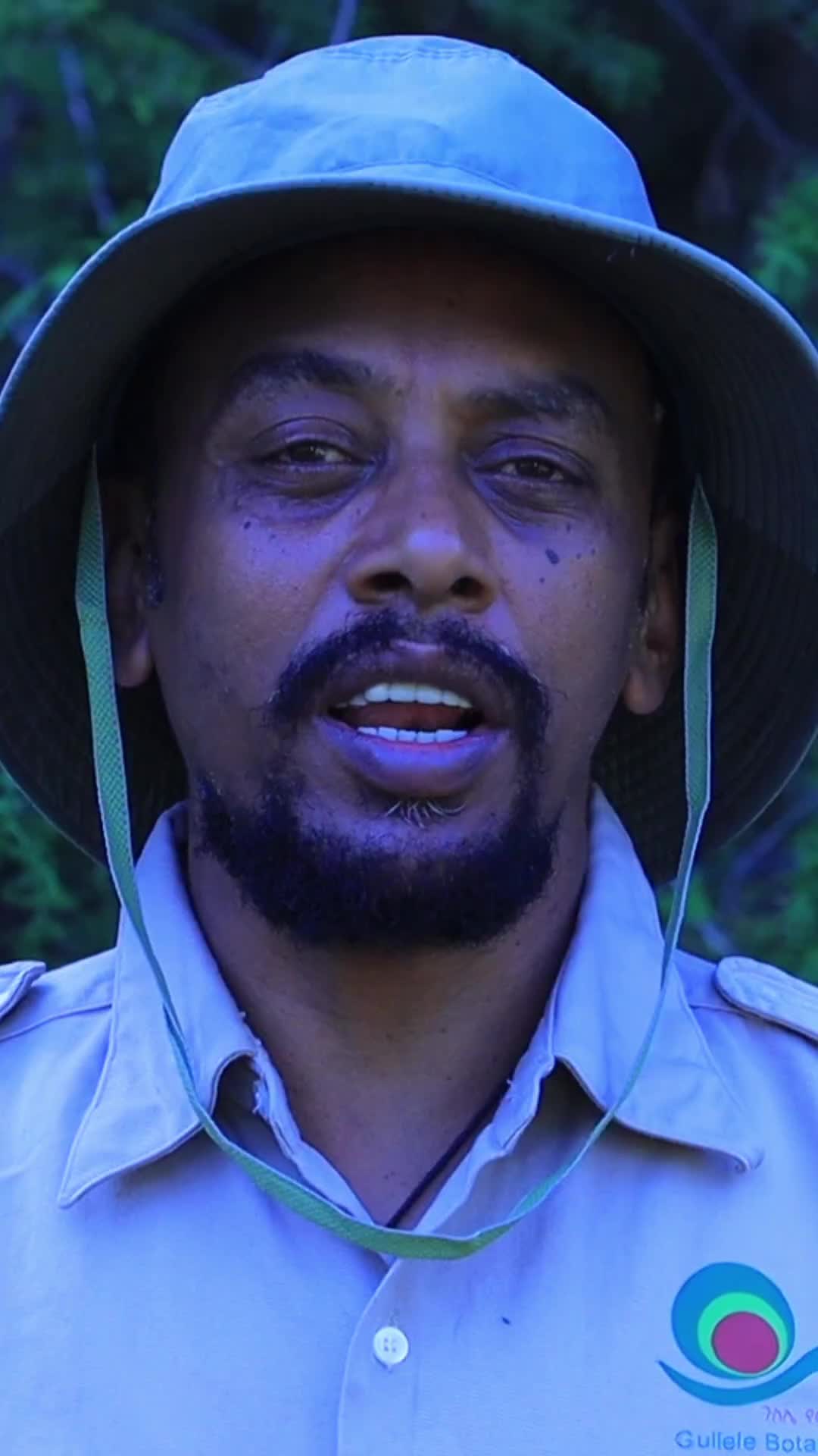 @ተጓዡ ጋዜጠኛ Henoke Seyuome