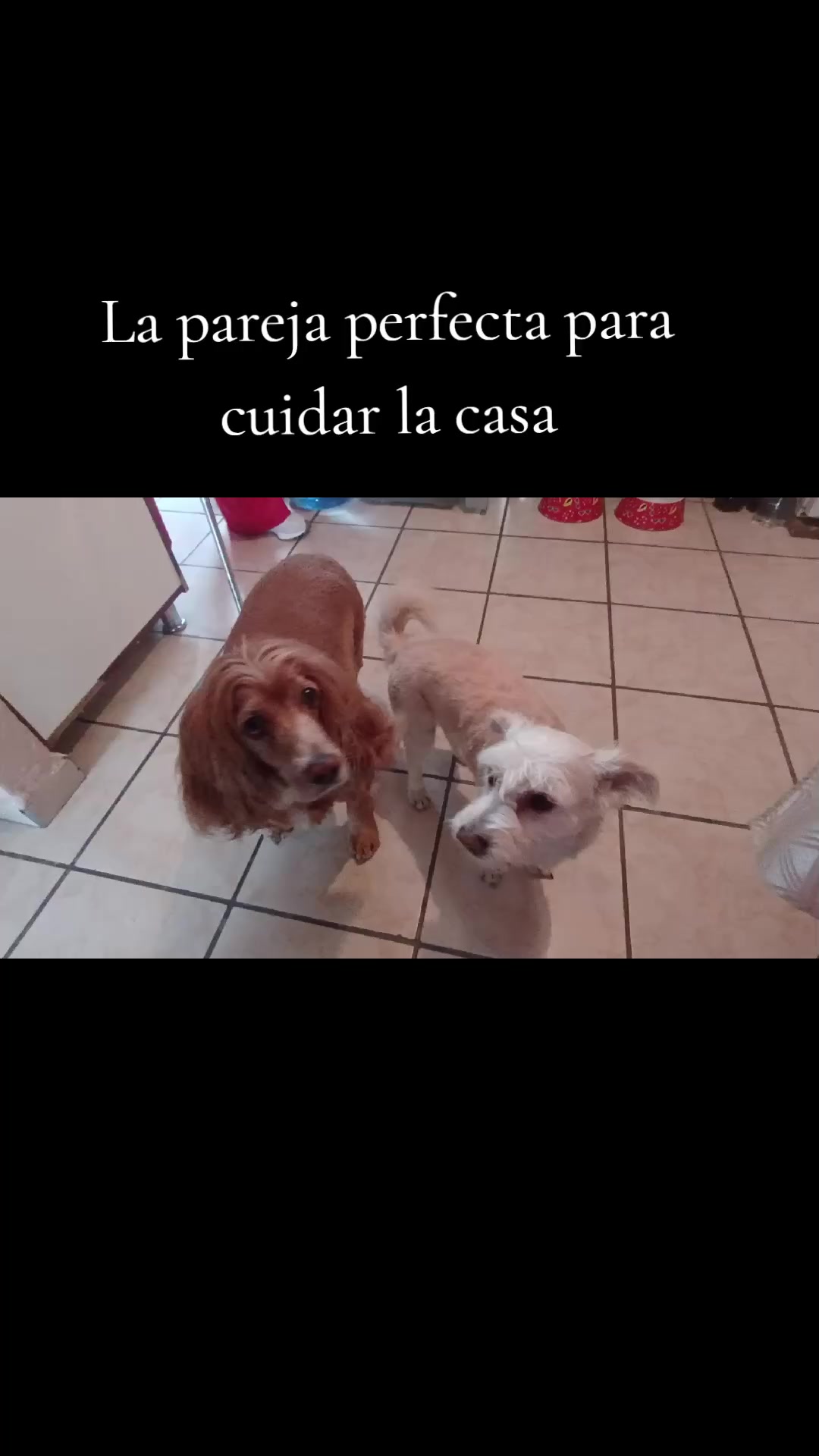 @Tere