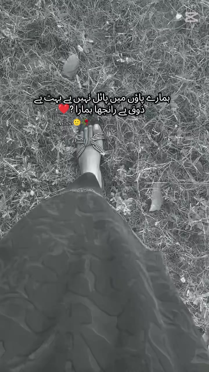 @🕊️🌸ـﮩﮩᎪຮ𝖍υ