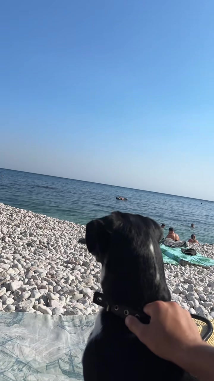 @Максончиксон