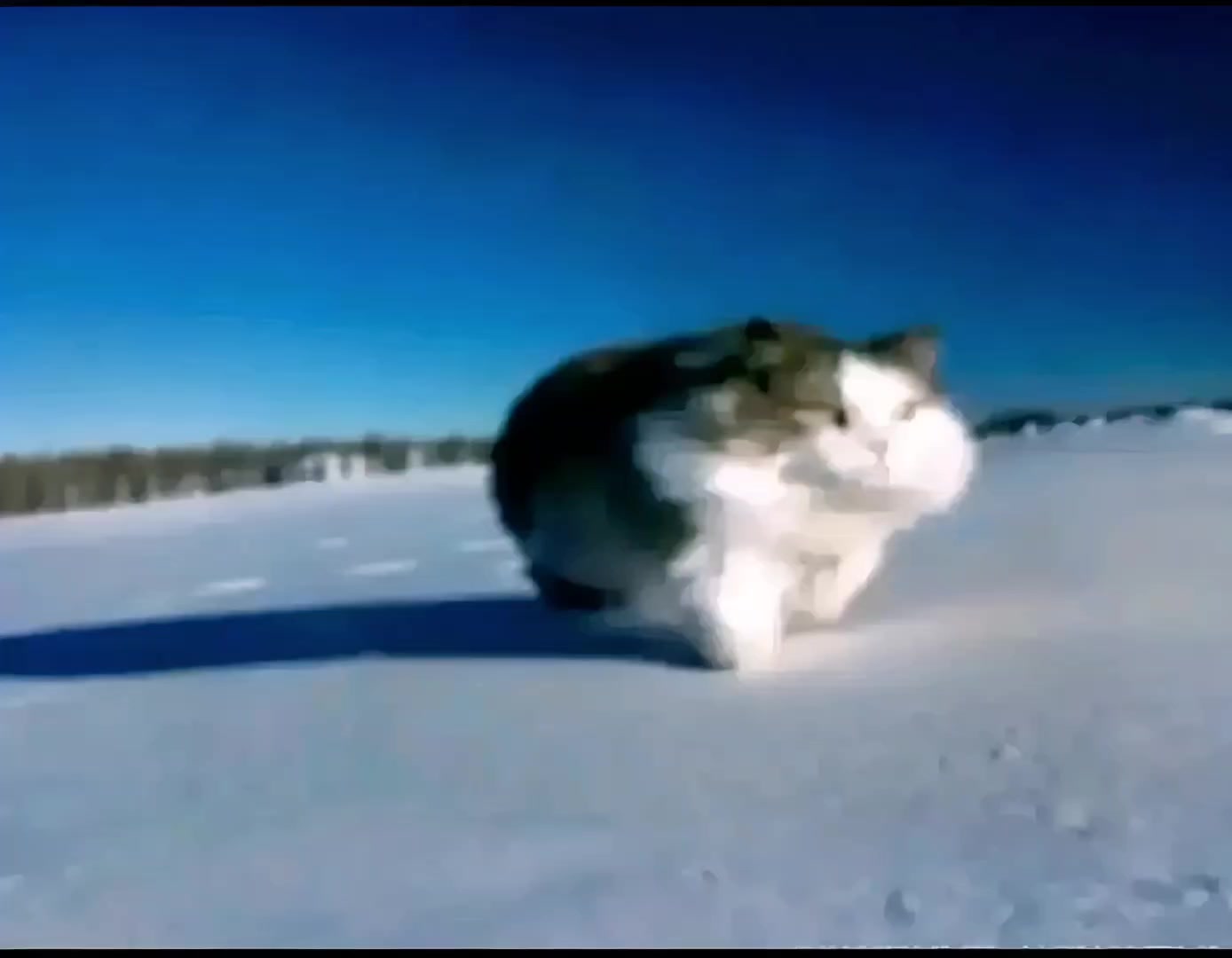 @Аноним