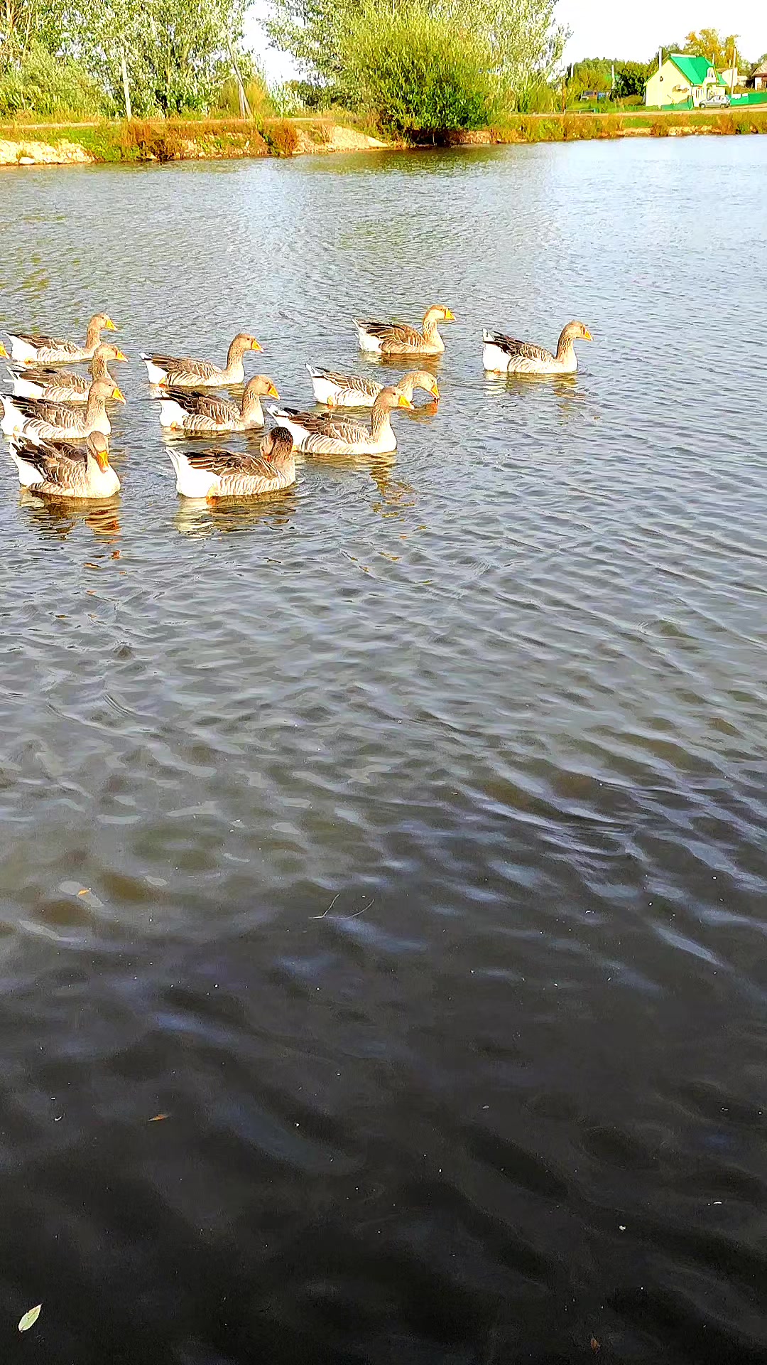 @Энджэ