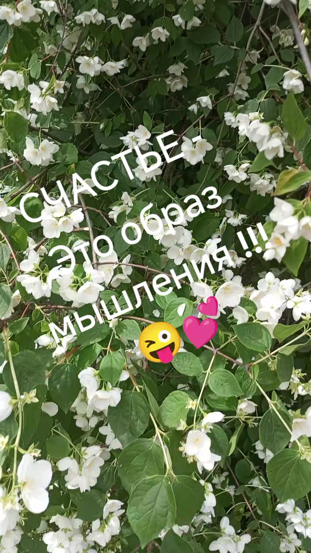 @Ангел дарит любовь