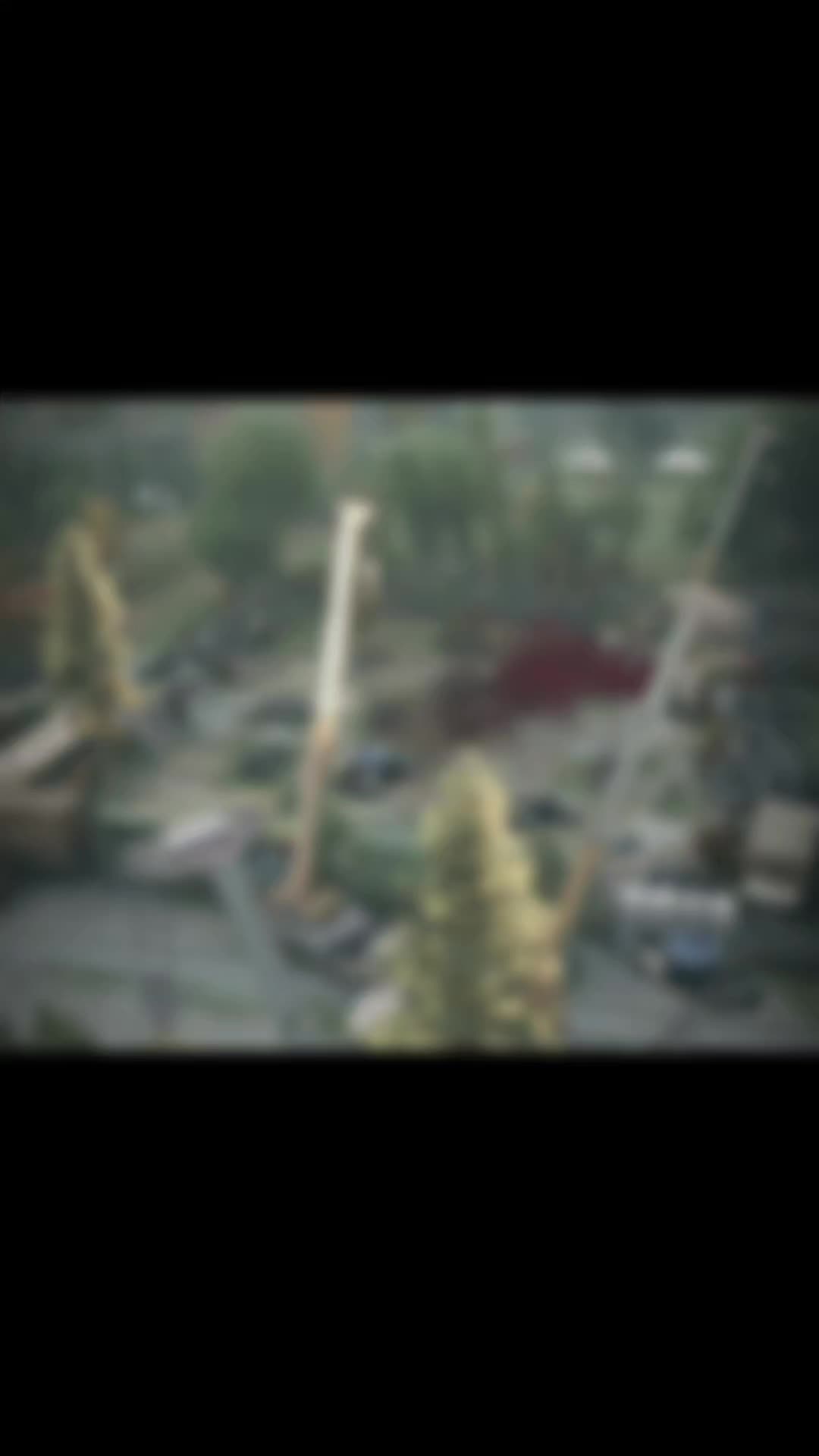 @Ditaeon