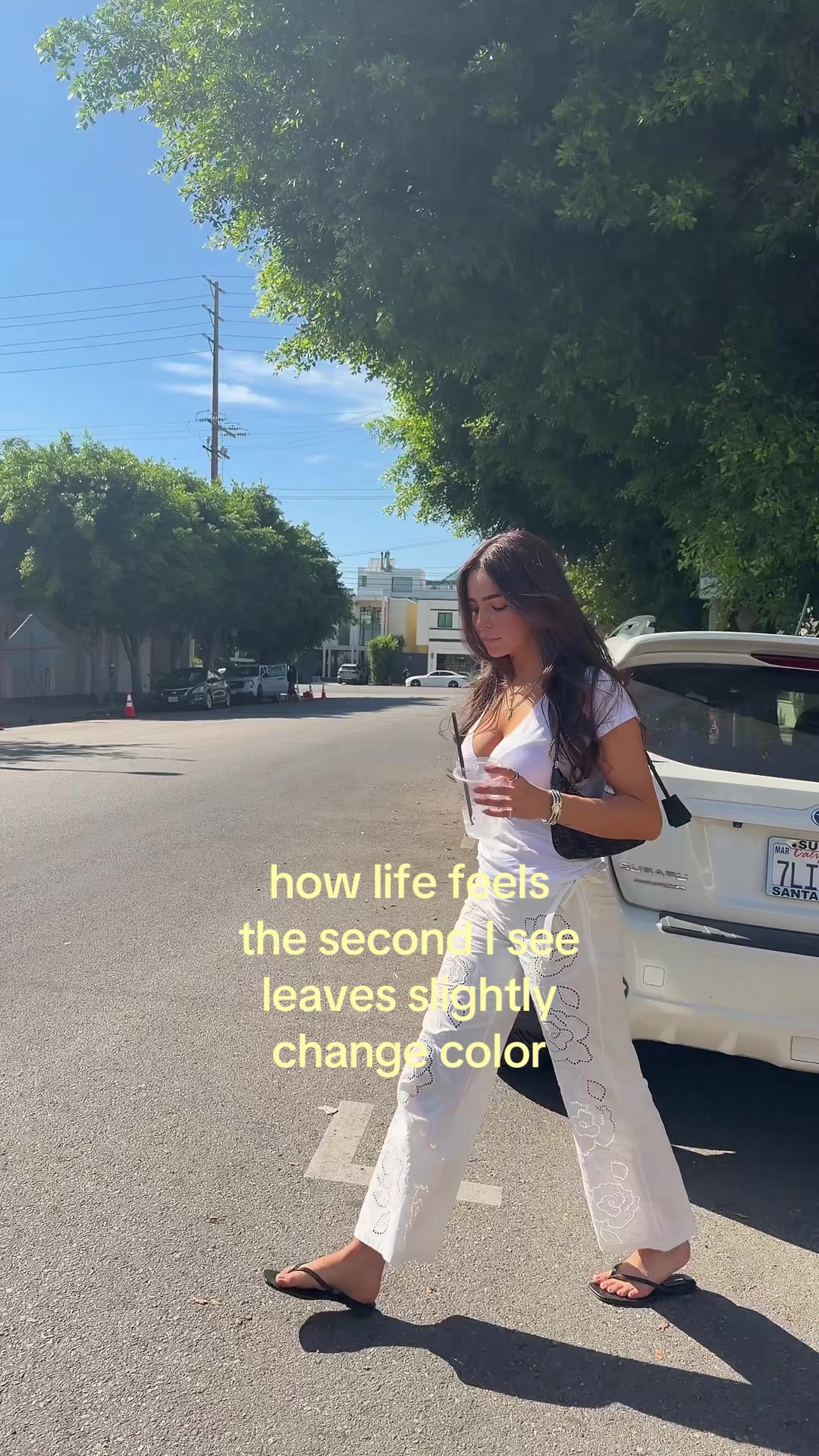 @Monika Mancini 🦋