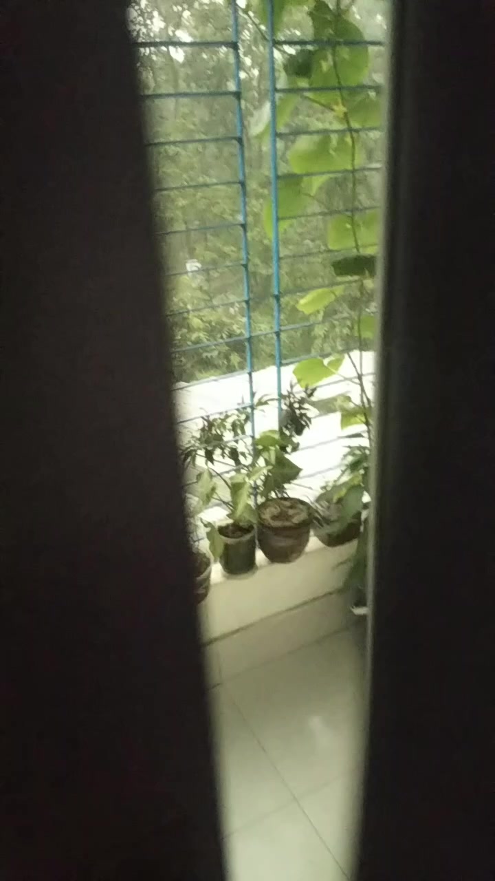 @নীল ঠিকানা