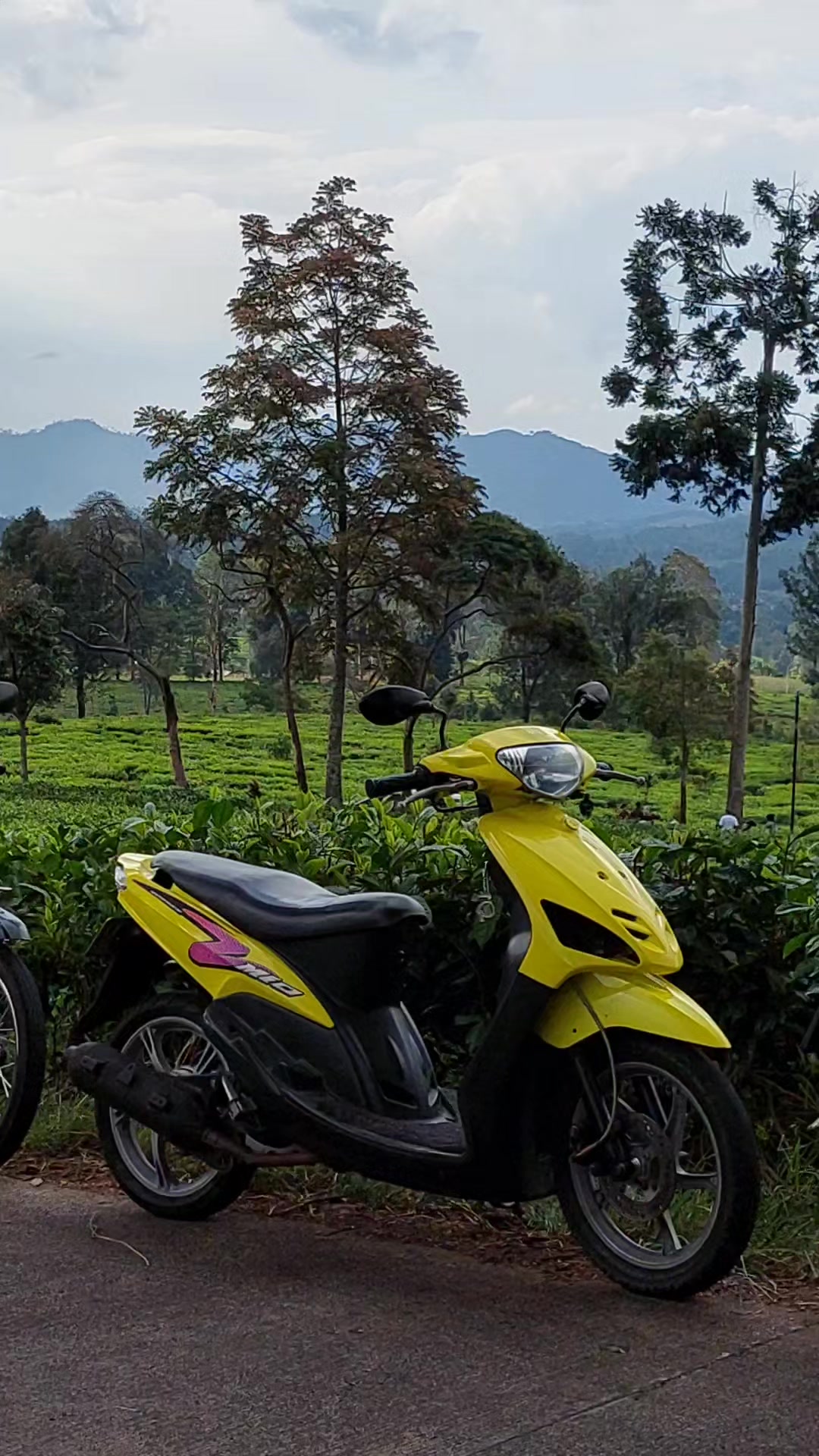 @m.ikbal aditya