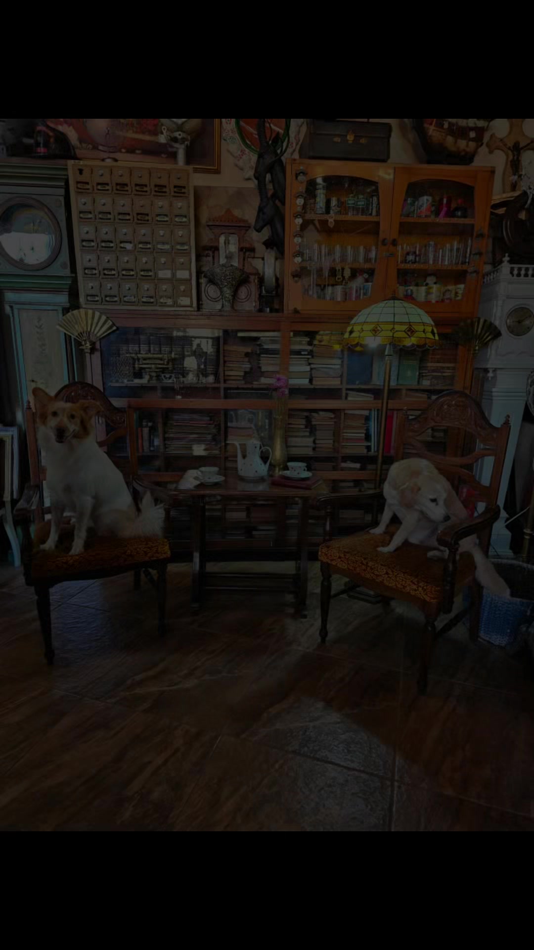 @ANTIGÜEDADES TAURO