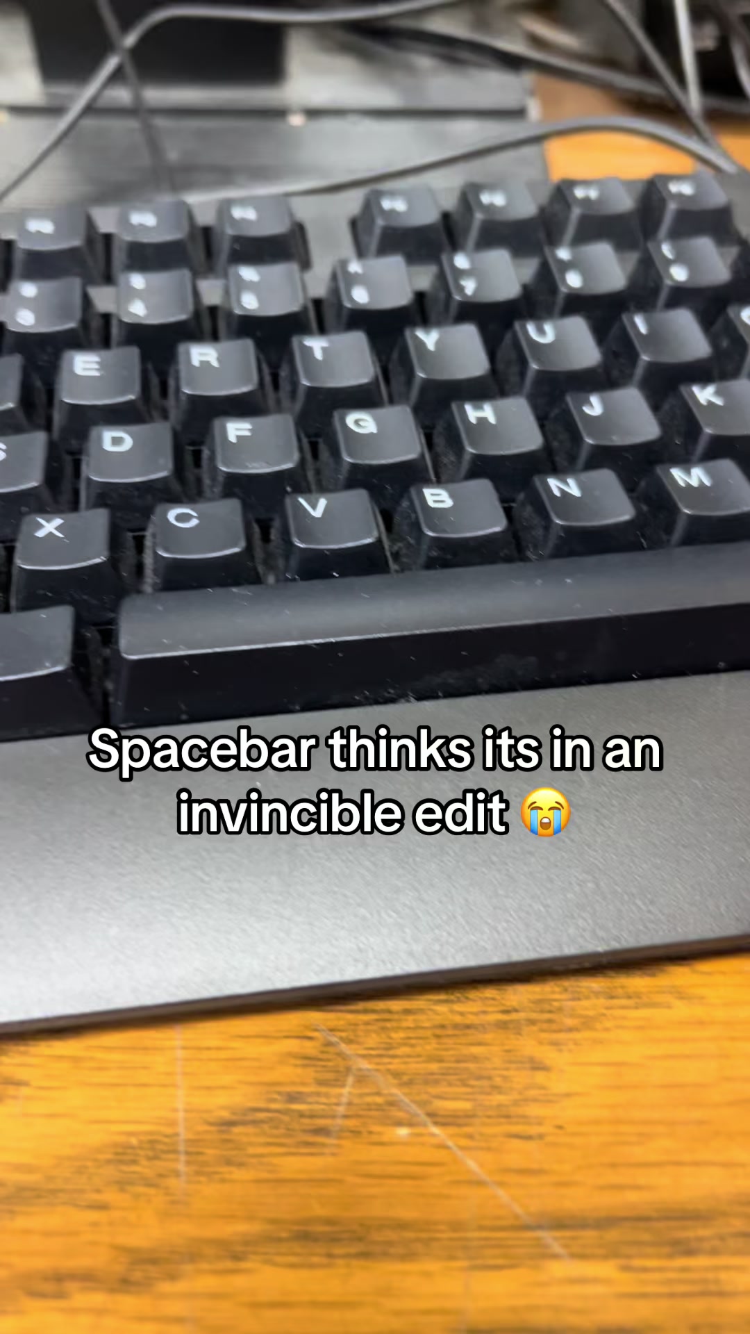 @wild.geek 🗿