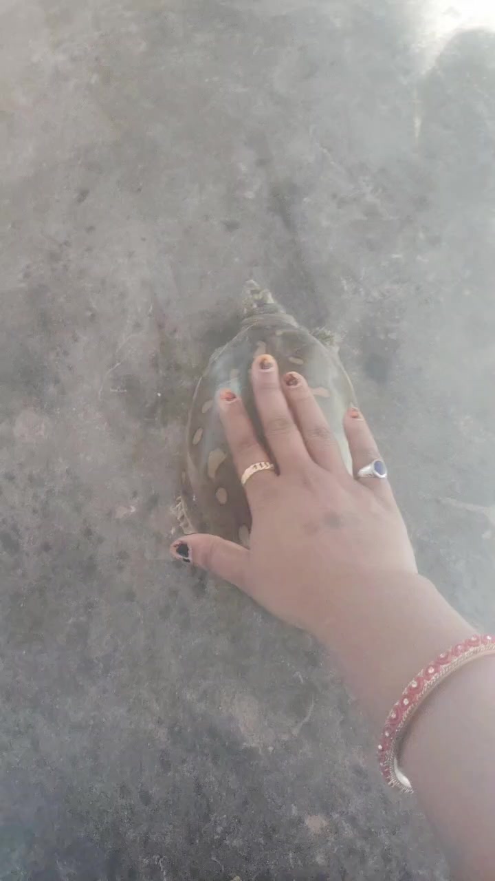 @Anjali Mukhiya