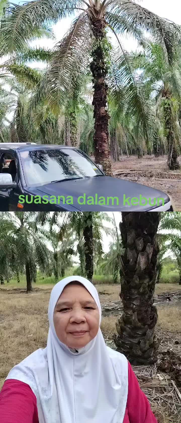 @rahamokhtar701