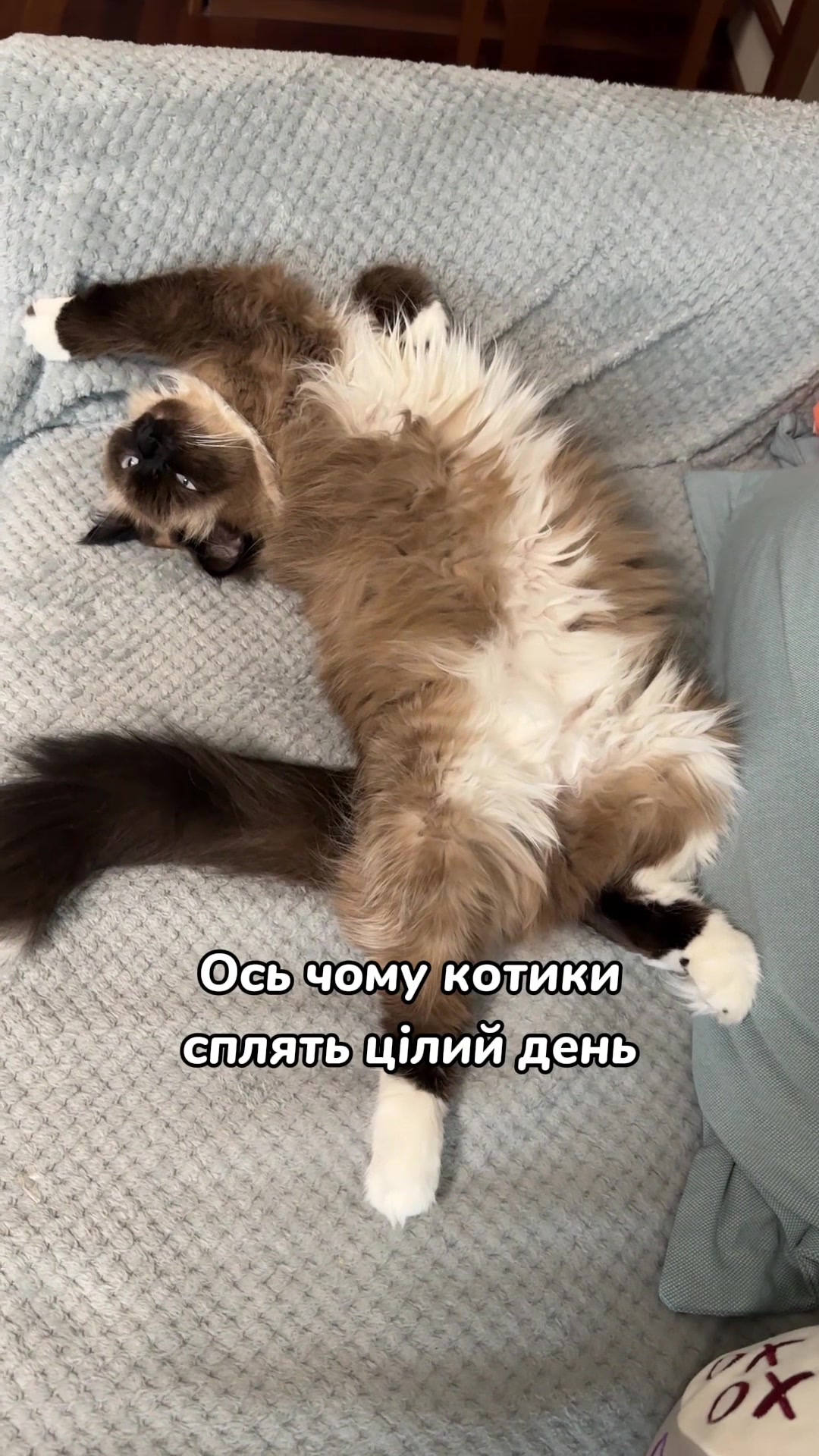 @Місс КІСЯ
