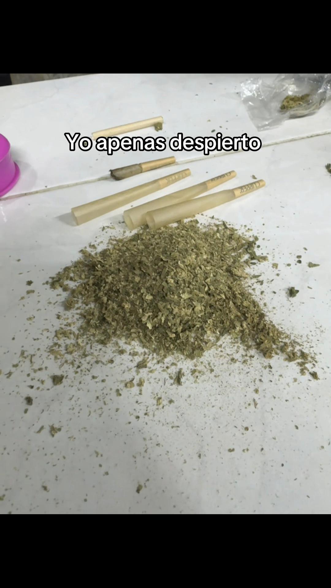 @ArturoBooe🦥☔️