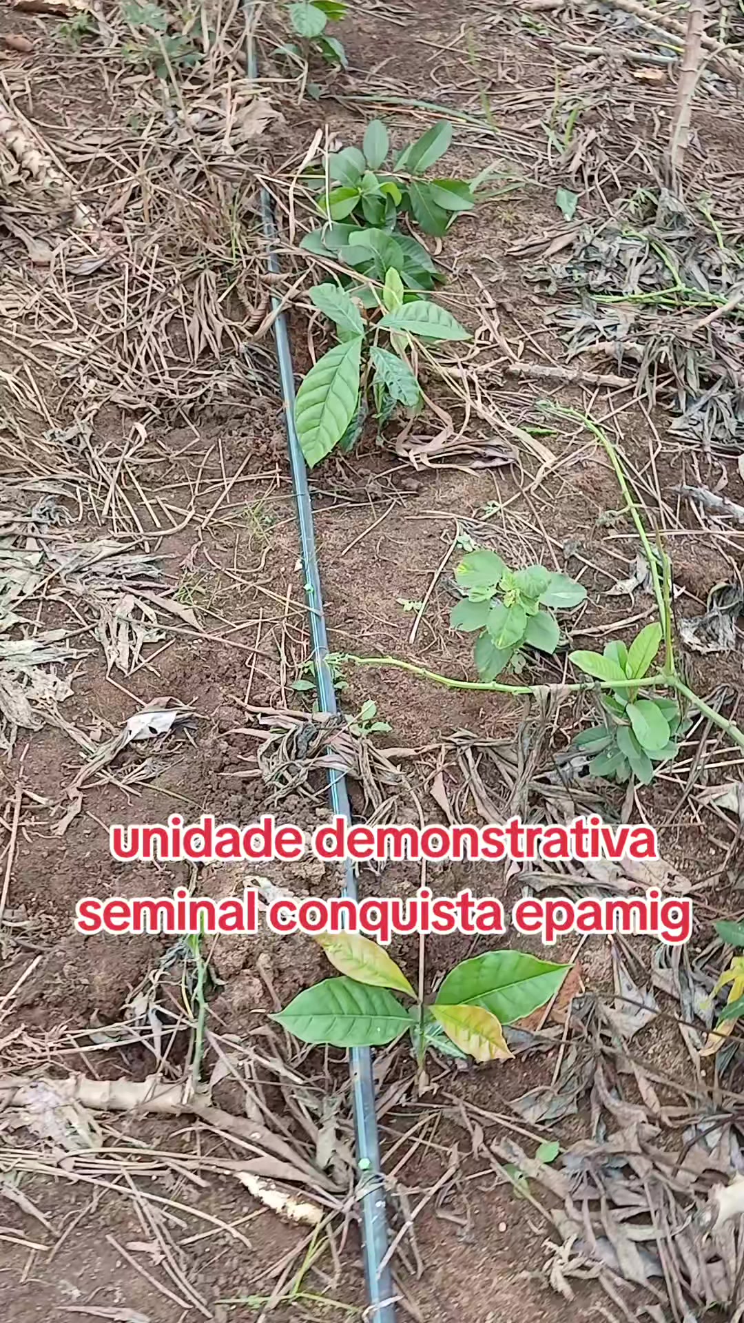@ELIZEU Batista
