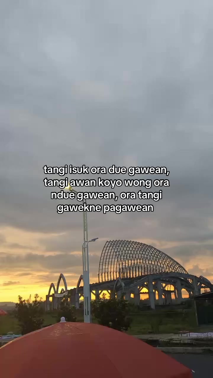 @Momoo