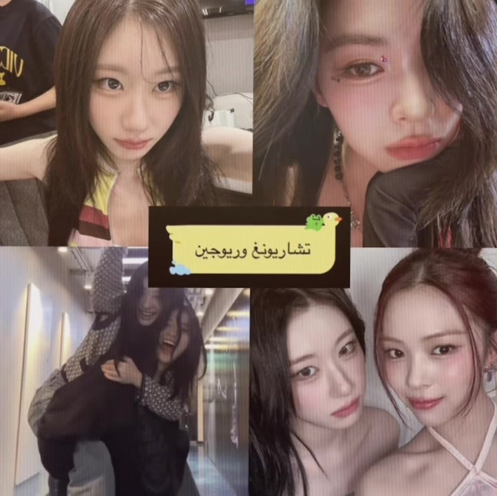 @๐ณโ๐๐ | ุฏุงูู