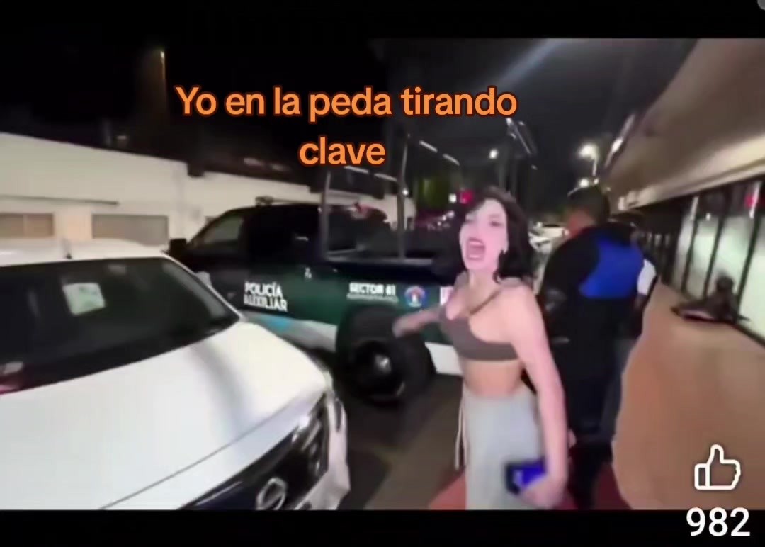 @Niche bella