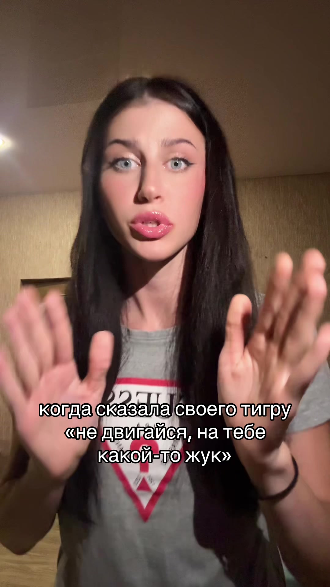 @laneli