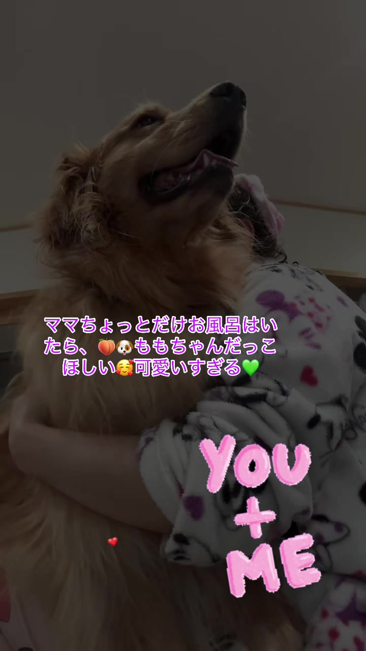 @ACIKA🇯🇵🇲🇨MOMO🍑🐶